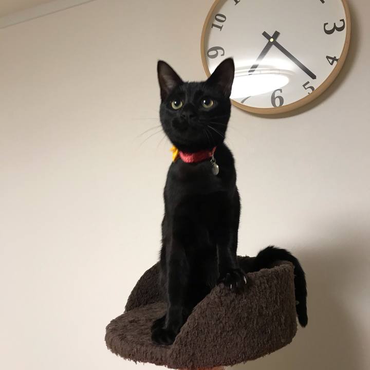 D80bab8c dcbe 460c 83ef b07bbfec5d64 1584821932262