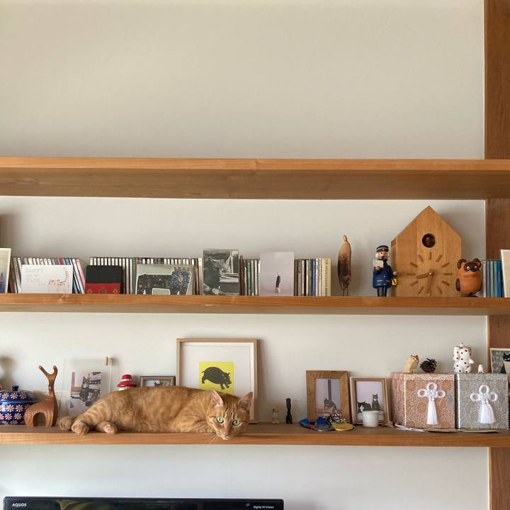 D80bd36c bf7e 4a7d 971e 2428b93d5c35 1660000411551