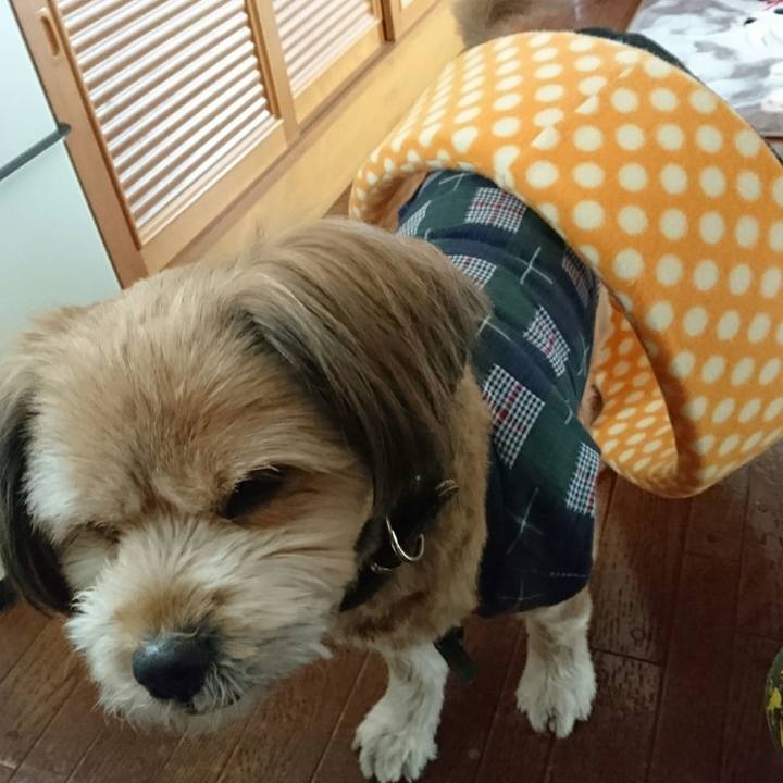 D80bd5d8 ff39 4f0a 86fb d04935b8b9ca 1514692483450