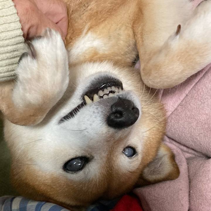 D80c00f8 7b7c 4bcd 880f be5bfeaef634 1671245738957