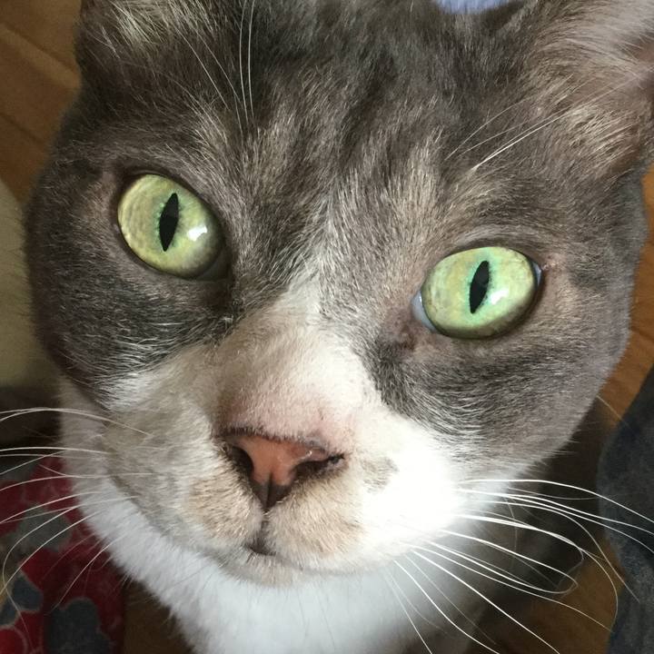 D80c0a05 8843 428a 8c4b 84ebf47b6415 1595141354543