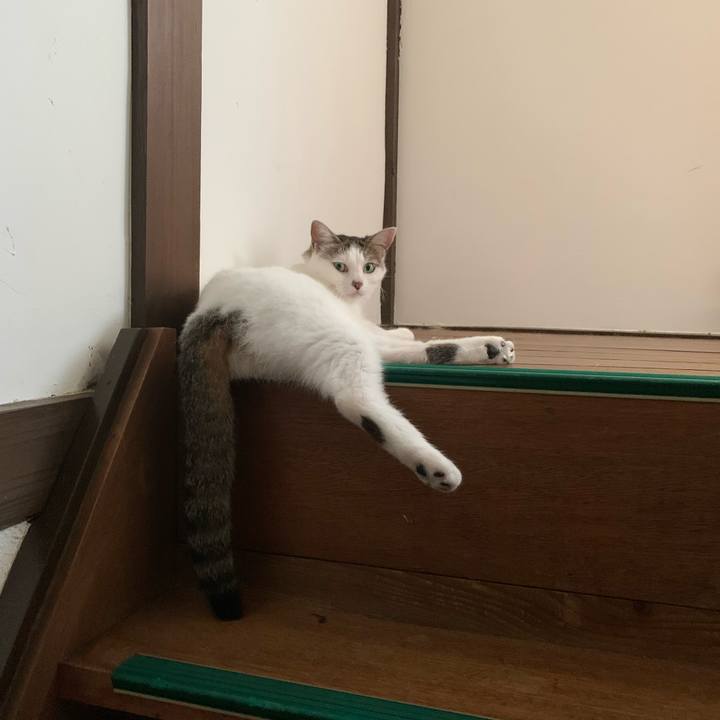 D80c117c a65d 4218 b04c 6dfbd644bb5f 1629389865379