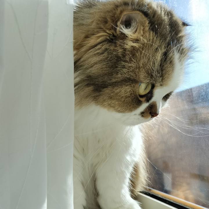 D80c11da 74d0 451a bdec f58beaed9932 1763618063700