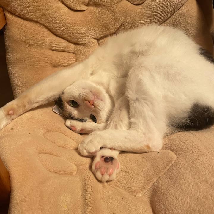 D80c49bd cb08 440d 8071 91bb29b15598 1732460018018