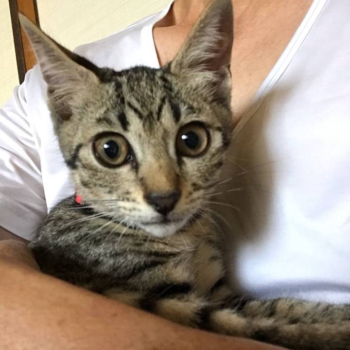 D80c51b6 2d02 4210 9265 e0772007b18e 1564735979207