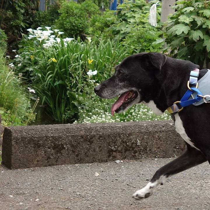 D80c599f 2bbd 4e40 ba83 f920e256eb24 1746145366224