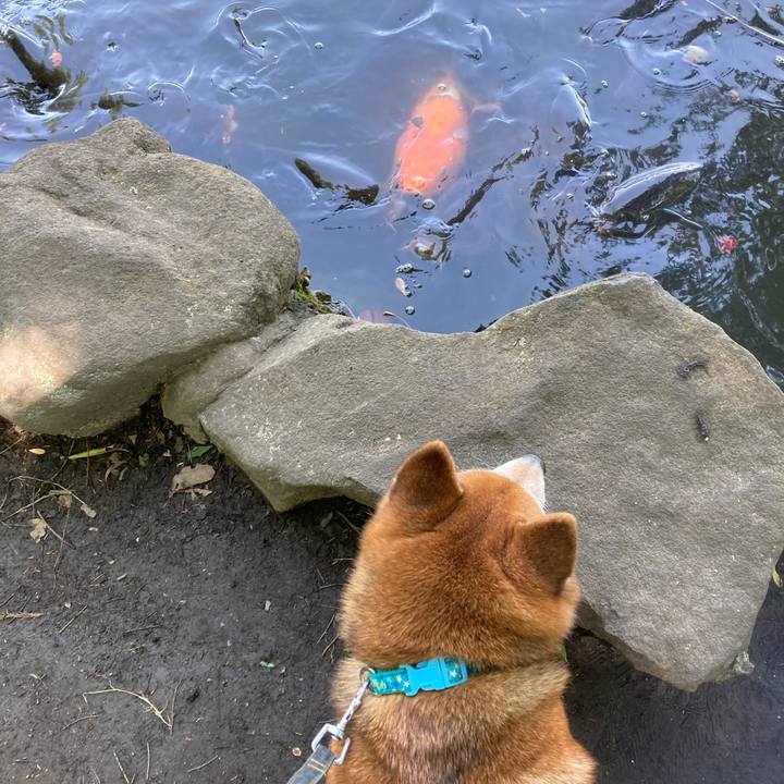 D80c647b 3bbd 494d 860e b8901f0b9374 1683700568293