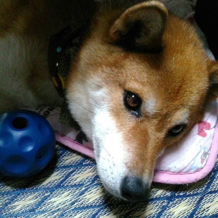 D80c6d08 74ea 4877 bcd8 399366506794 1534647636686