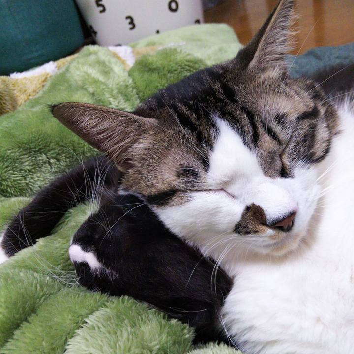 D80c7890 2313 4928 bfe5 b24b4ff60369 1639730865810