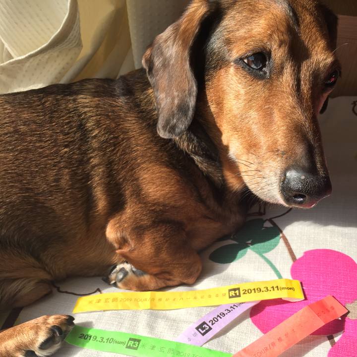 D80cadb3 38ec 47f6 ae4b dc4b99ac00df 1552467010942