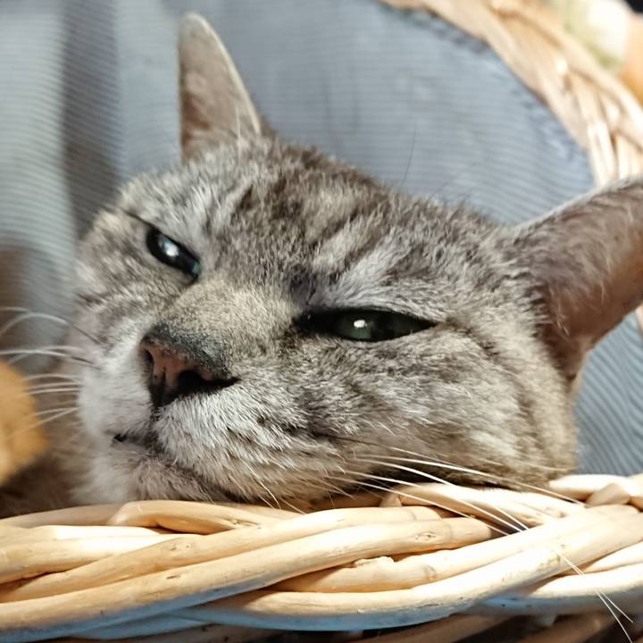 D80ce970 e171 4c0d afbf 1029f6c02184 1562400870894