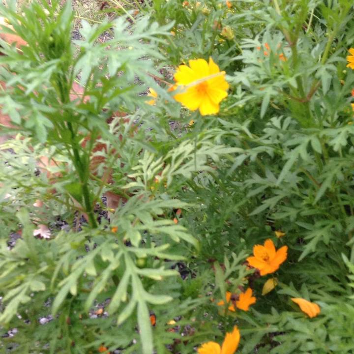 D80cffcd ecda 458b b10f 3ce43075928b 1537171498014