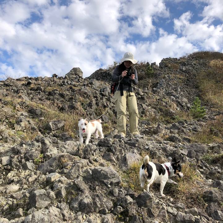 D80d0cb9 e28e 4ea8 b785 0afa7ce173aa 1541418085919