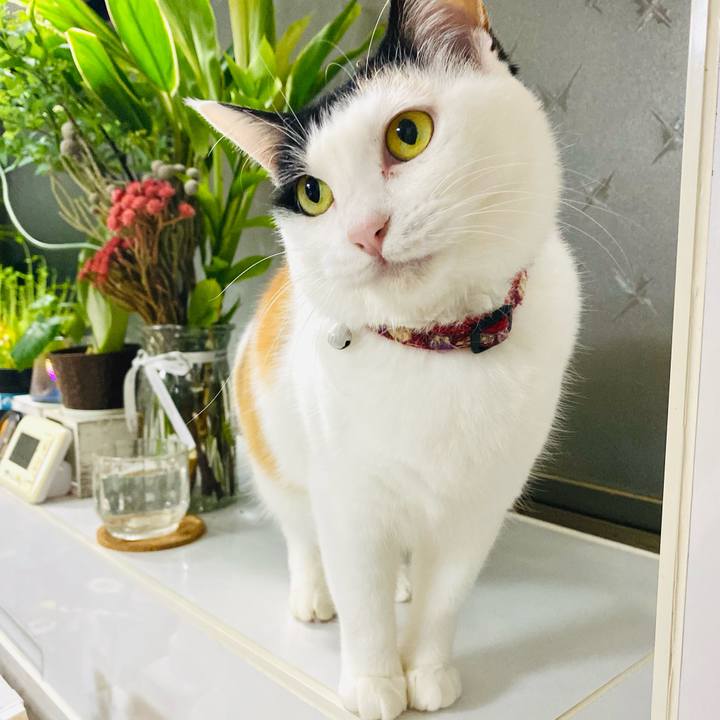 D80d83f3 54be 442b 9644 792f2134e554 1676374245525