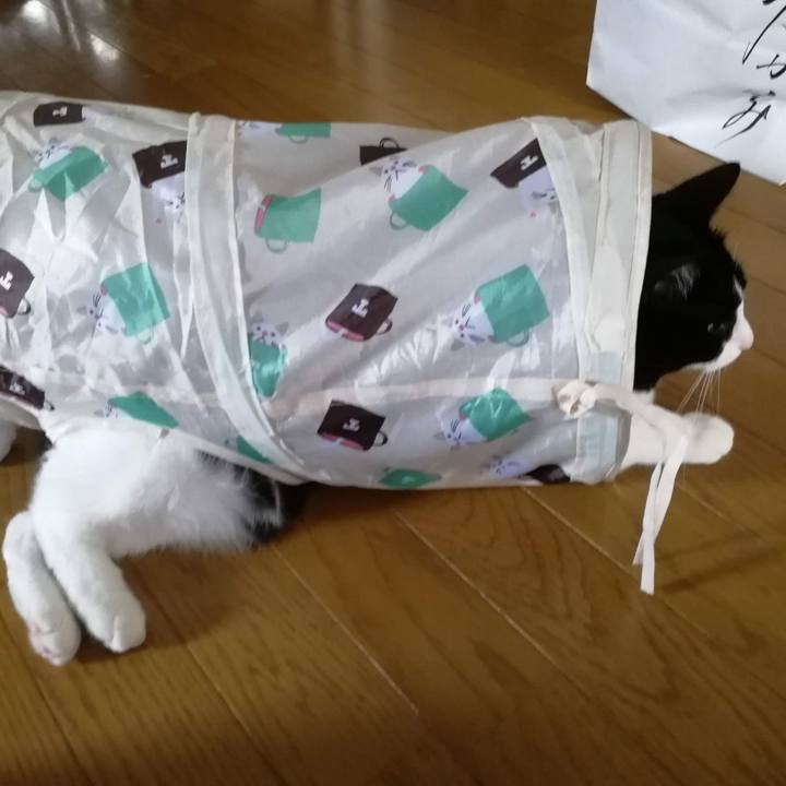 D80dc067 ef45 424d a922 acfb2ed2f898 1560236702862