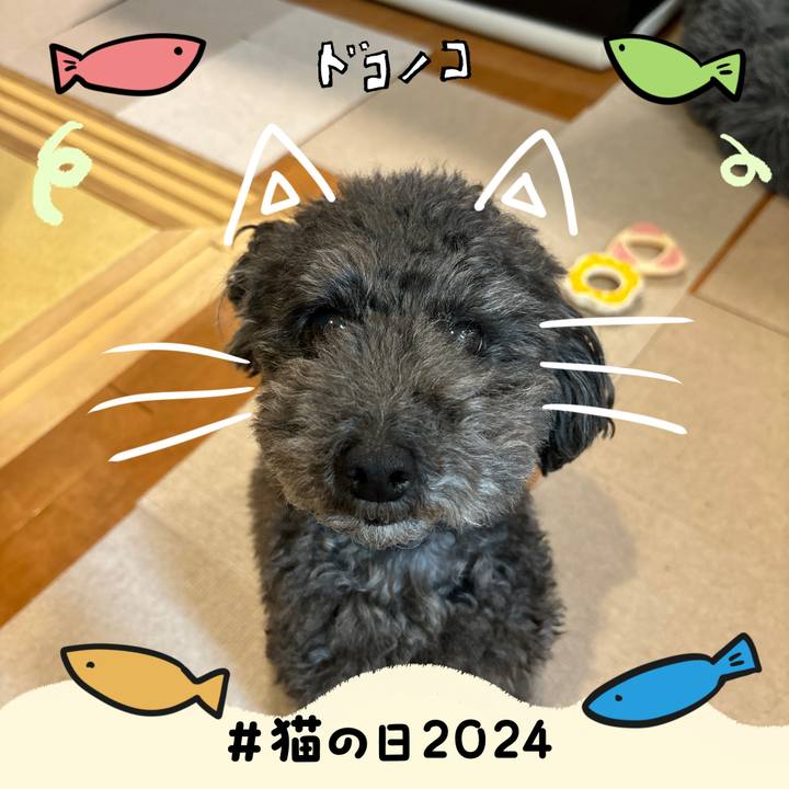 D80dda9e 3cce 4295 9a97 79f3cc570915 1708592316166