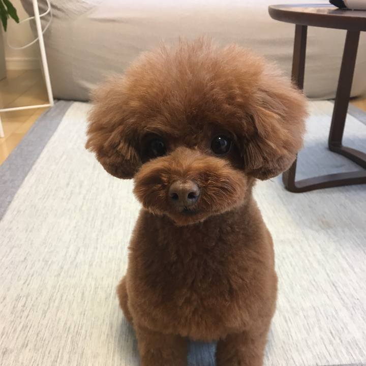 D80dedd4 583a 41ca 8d17 0b4054462640 1549929321549