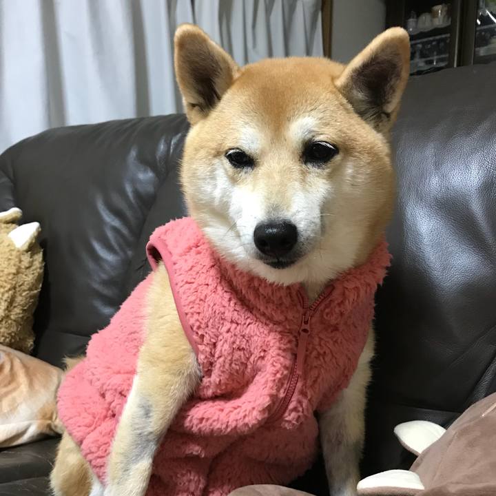 D80e2052 a953 4fe2 9751 85d764518d75 1513764341991