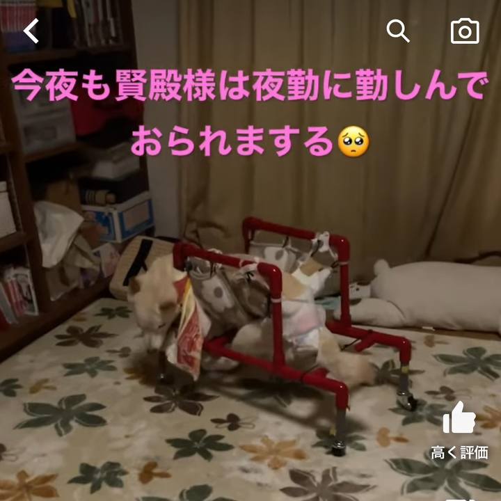 D80e2a2a 05e7 4a5d 97f8 2b6312fcaf9f 1673898276515