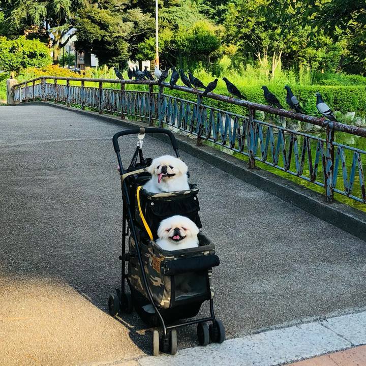 D80e6772 f83b 4159 bcb6 7cd2129e3467 1627171595043