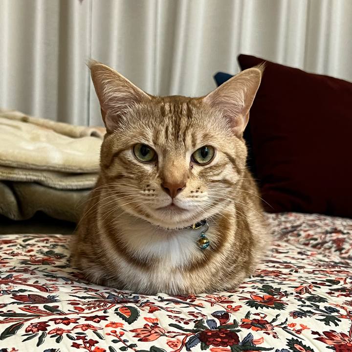 D80e94a0 b8d0 4eba 84a9 434a1d94baf4 1679652790702