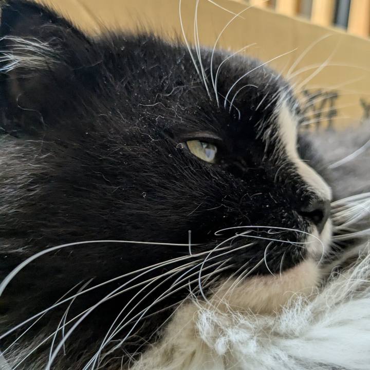 D80eab44 3e35 4f7a a879 97fb8216fc92 1755477063468