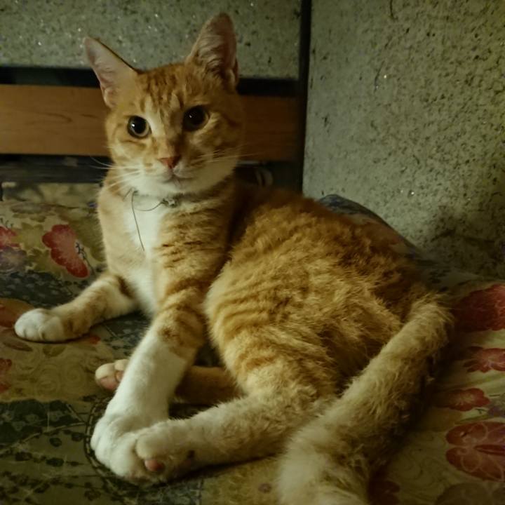 D80eb370 8884 4f6e 9f8b 6bb76d7d0b9d 1595593032381