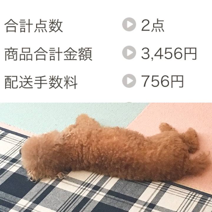 D80eba0a c721 4b67 9113 99ba00e4ef44 1512260813708