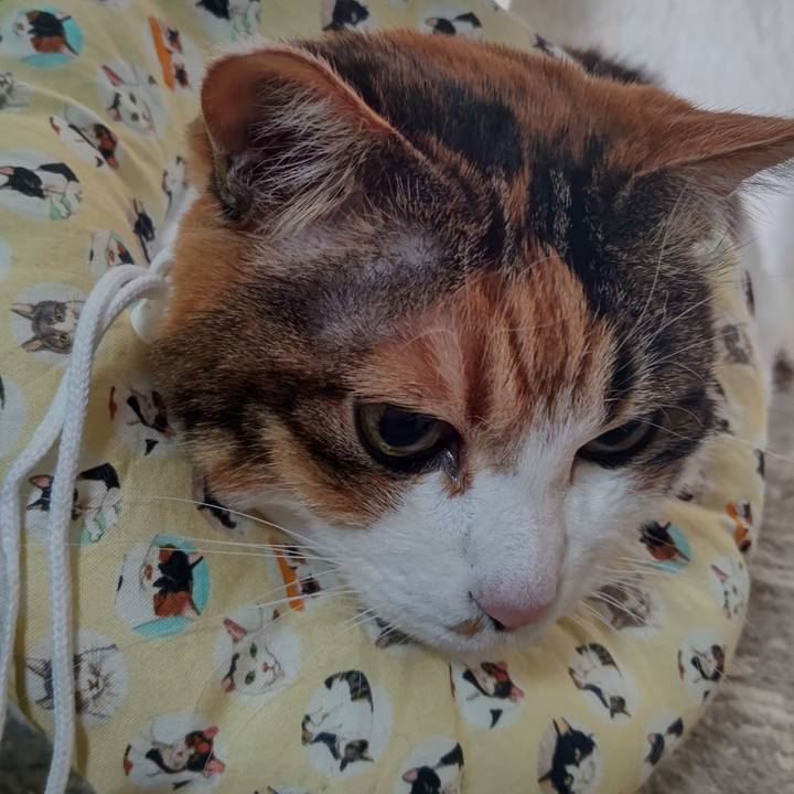 D80ec142 a9f2 4246 8e09 59ea2064a4ee 1613024050543