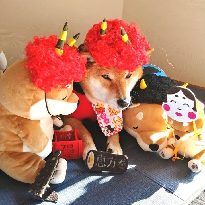 D80ed42a 1f4c 4a76 89f5 10d444b90ccb 1580689813299