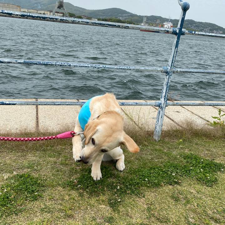 D80ee65a 69a5 4c39 a18b fb682b0c03fc 1620654967836