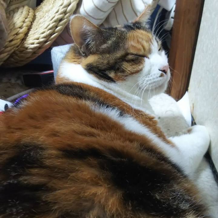 D80ef576 bd29 4169 b845 f82ff566b5ca 1571262572775