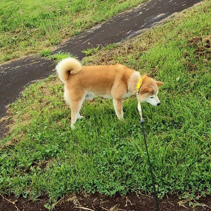 D80f1d97 61cd 43bc b2eb d0be418f628c 1689143420303