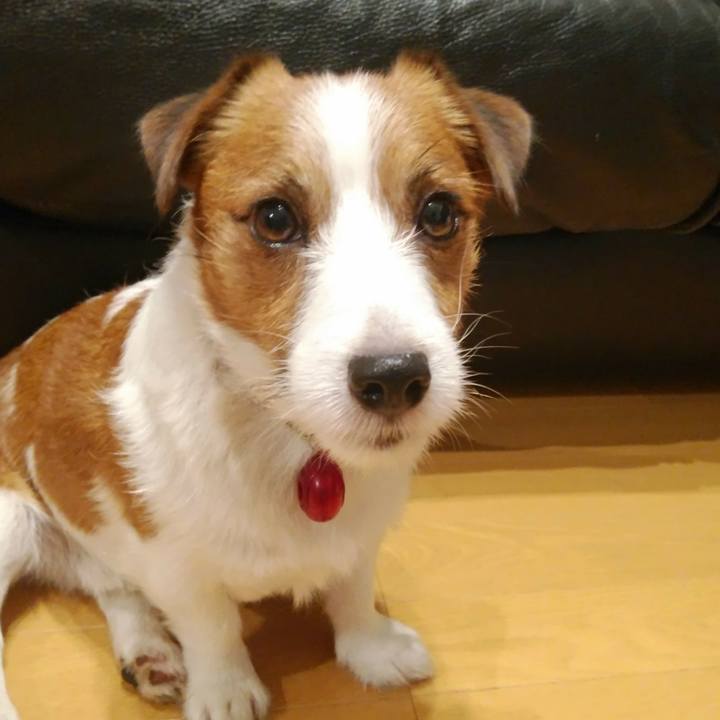 D80f346c ffa7 4385 b99c 735391542d1a 1528800594795