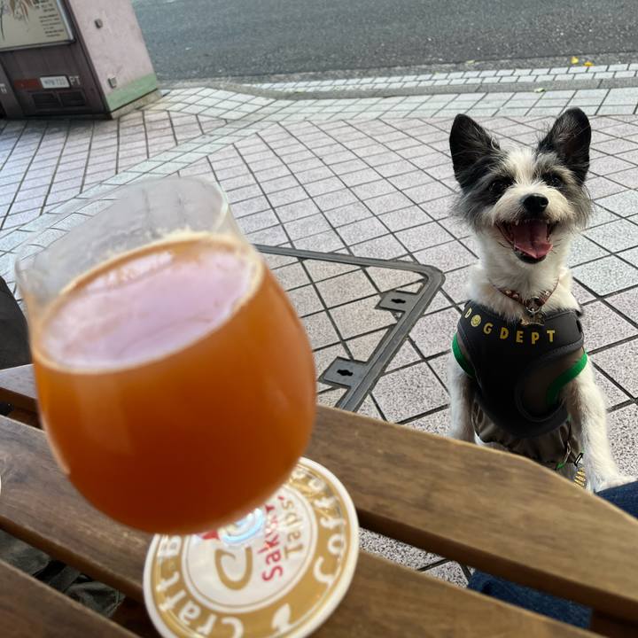 D80f91c9 2638 4352 9949 585e87fe1a2b 1718520554632