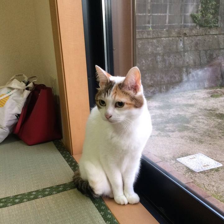 D80f92e7 e306 449c aed5 8250dbeda62c 1509879097232