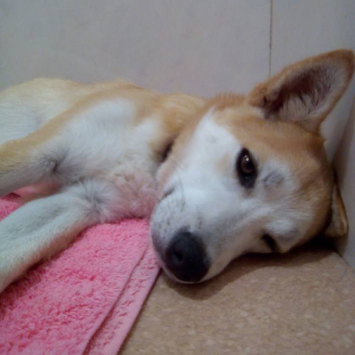 D80f9dc8 5a3b 4841 ade8 4b056c2f2853 1535294754536