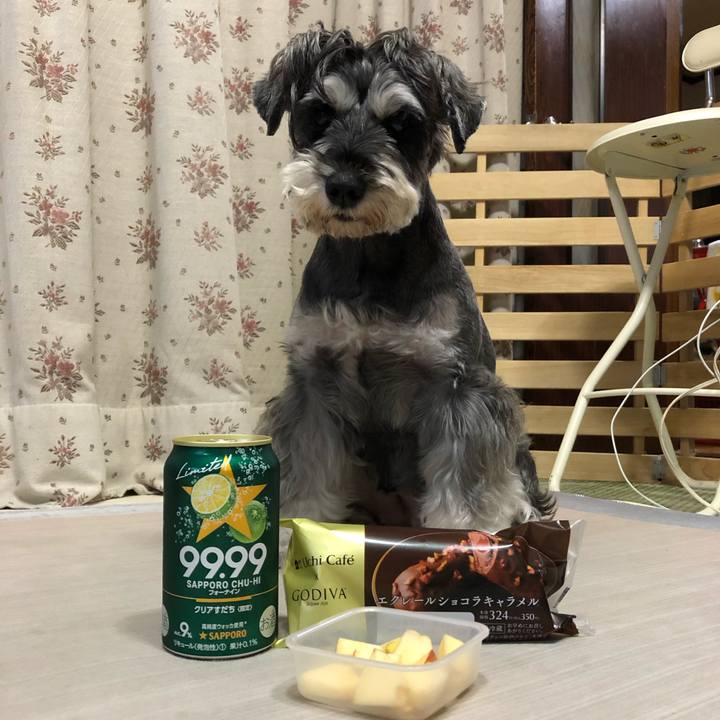 D80fb117 be8d 47fc 919c bf2333a00563 1632395263975