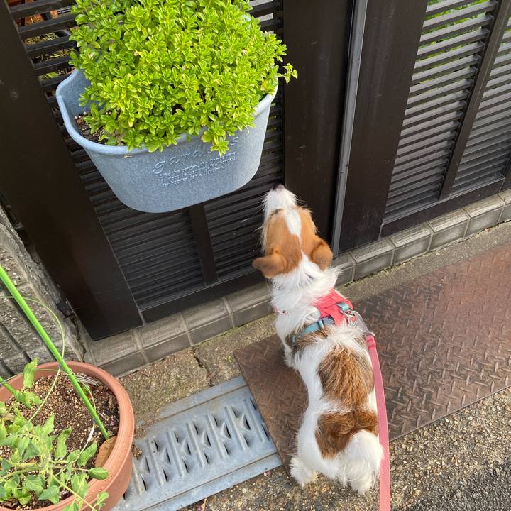 D80fd6c4 fcb1 4ad6 8142 55fa41522a41 1693432596703