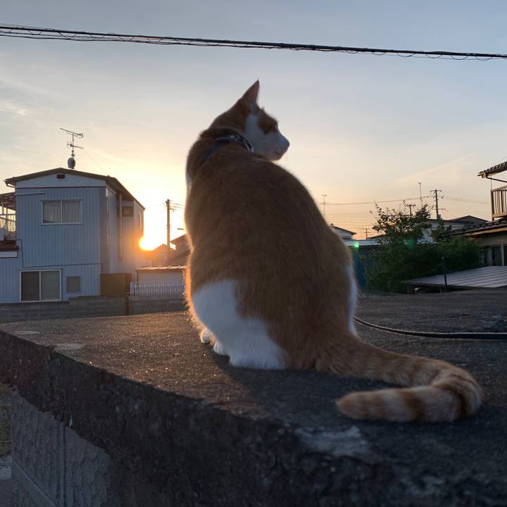 D81015ef f264 4d7e 9b40 517f96d41963 1568888707672