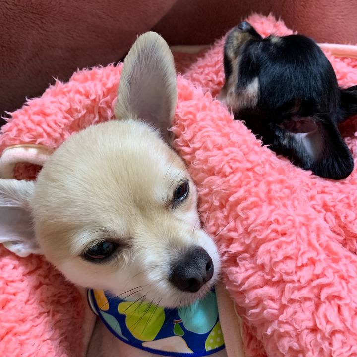 D8101998 9d34 45e4 945a 3494d7f40c90 1560640357706