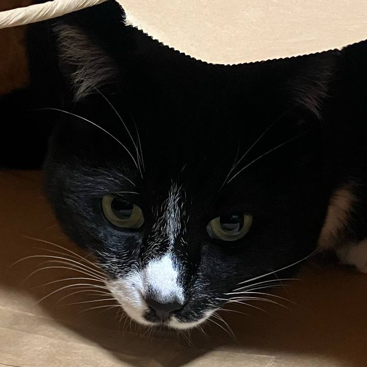 D81051ed f628 4b47 a6cd d159bd234746 1716014654777