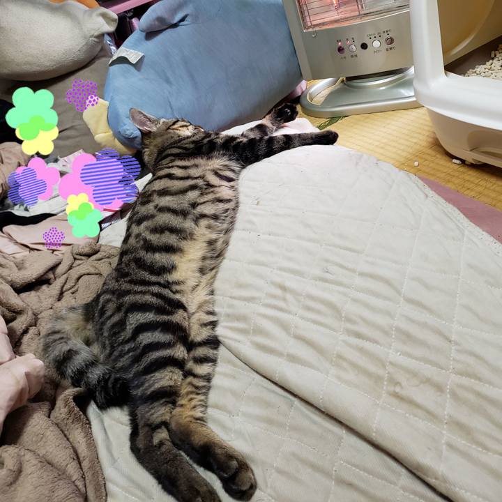 D8105d96 d33c 405f aeea ee62d4b92f27 1542859900900