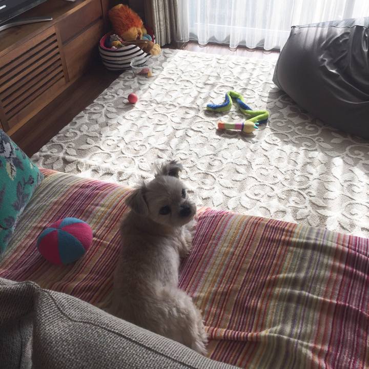 D810cb5e 05e0 4566 becf 295eec206982 1543626708445