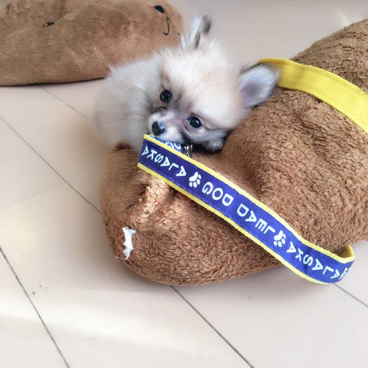 D810cb95 f784 402a 926d e45530edf789 1521204787302