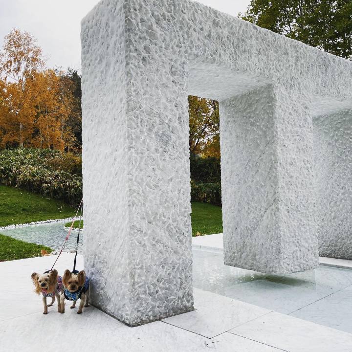 D810ea25 5865 45c7 9648 9a9944b98cd8 1636190331857