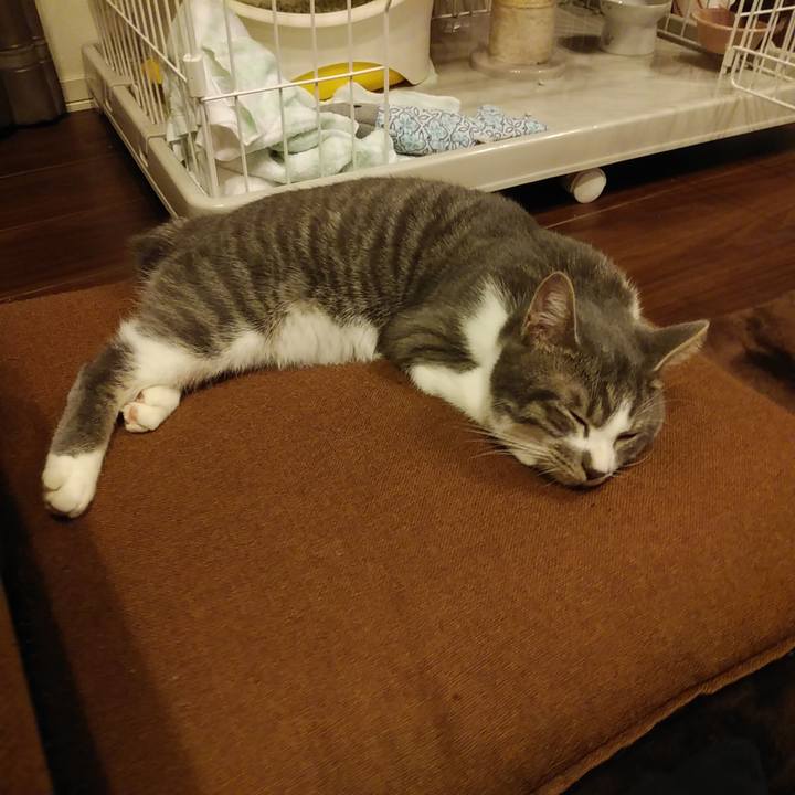 D81141fa 1d7e 403f 818a ebcae8519eff 1574170723618