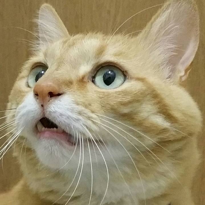 D81195c4 701b 40df 81b3 ddc12d2717ce 1561204204001