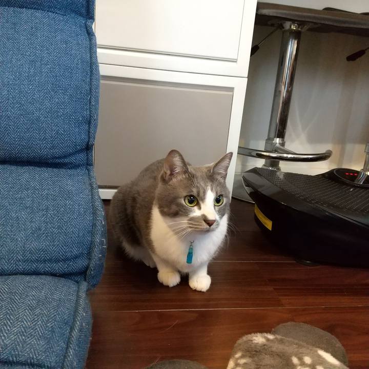 D811cc93 8b77 4093 ba46 1b0428c914c5 1641340516257