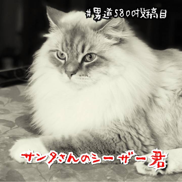 D811d6fe 2a5f 4434 8e86 122476664519 1584751471890